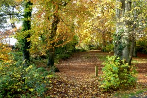 appreciate the beauty of people and autumn