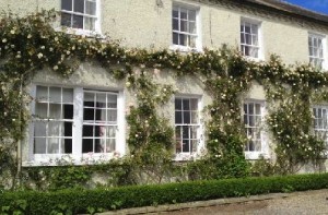 Typical of the beautiful houses in Strangford Village, Strangford Cottage B&B.