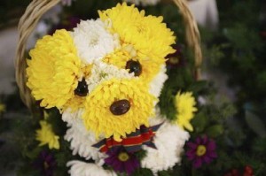 Appealing flower puppy