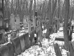 Jewish Cemetery Warsaw