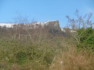 P1040018