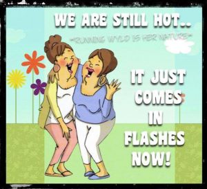 HOT FLUSHES