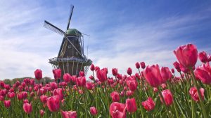 holland-desktop-wallpapers_010544928_139