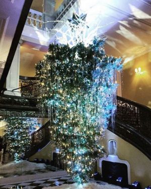 upside-down-xmas-trees-ht-07-jpo-171130_4x5_992