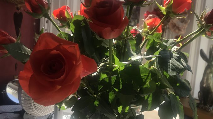 roses